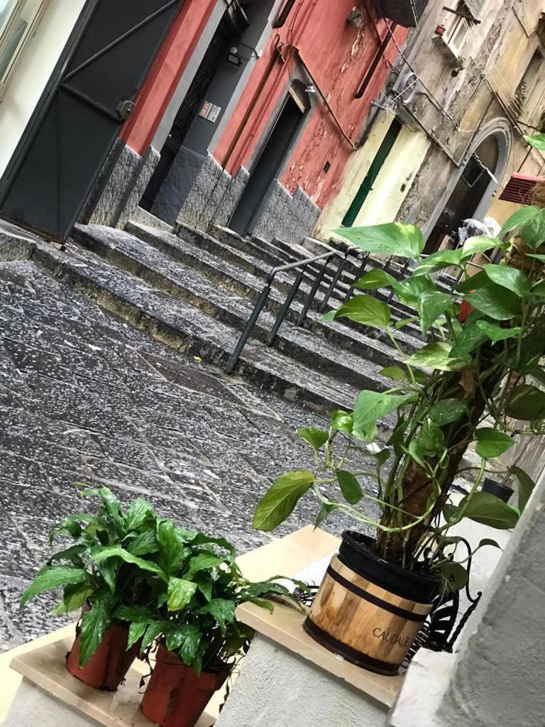 Casa Mari' Centro Storico Vicino Hotel Caracciolo 나폴리 외부 사진